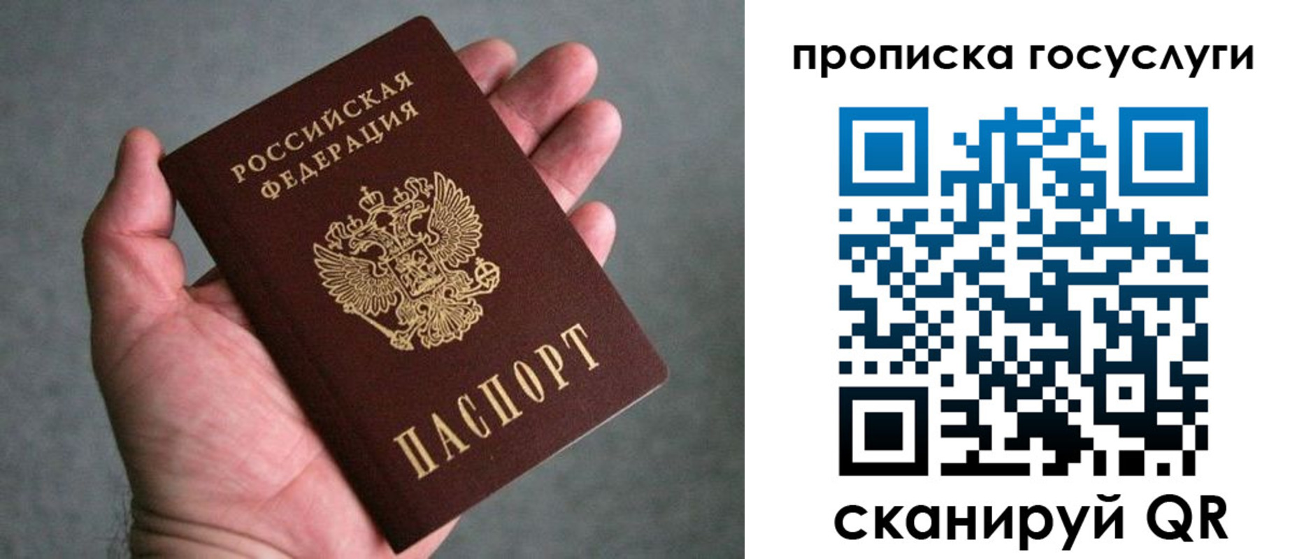 прописка 2025 в Балтийске